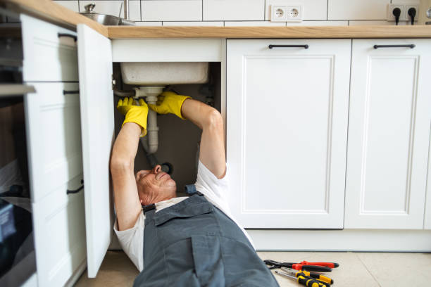 Best Commercial Plumbing Services  in Summit, AZ